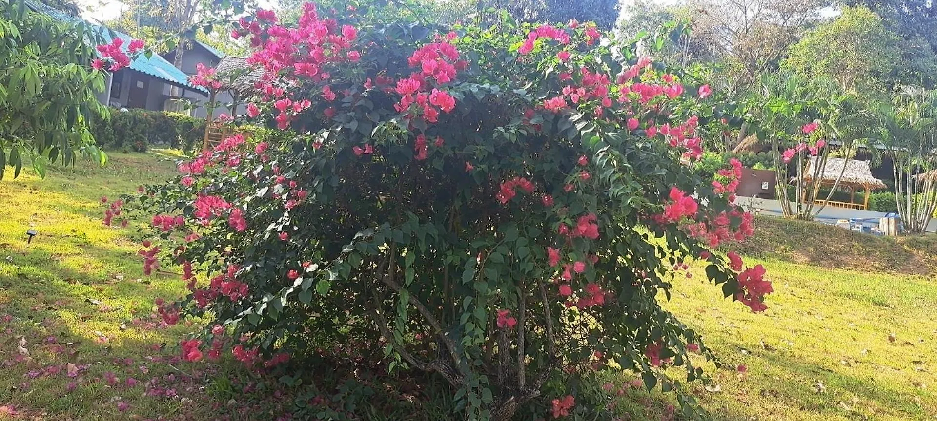 Siam Flora Resort Ko Lanta 0*,