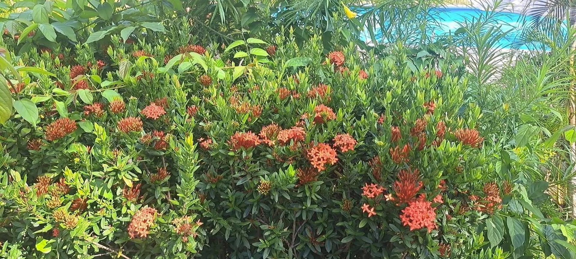 Siam Flora Resort Ko Lanta