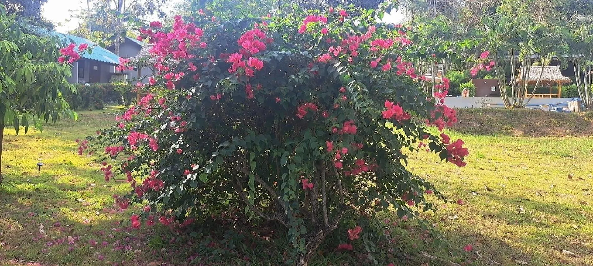 Siam Flora Resort Ko Lanta